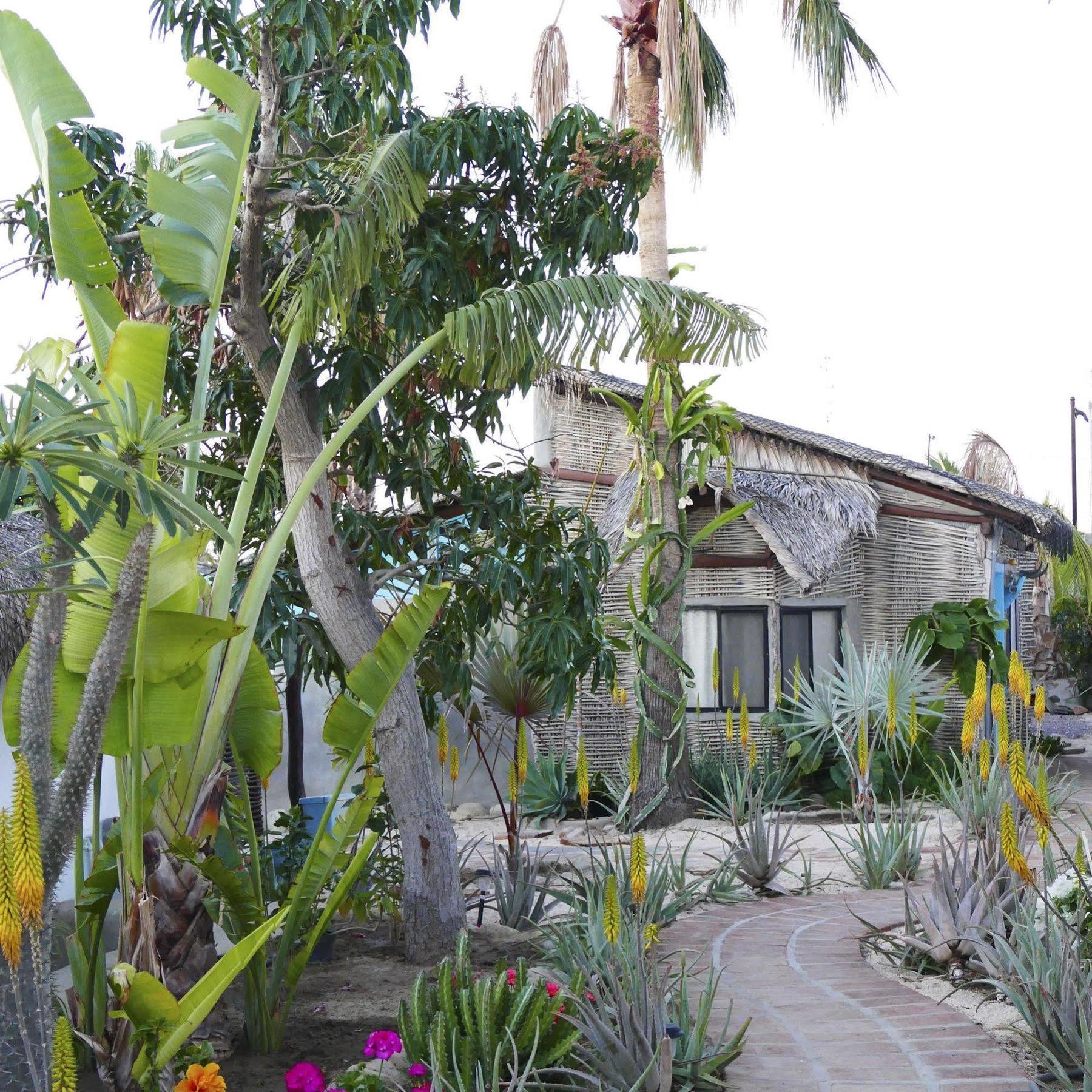 La Bohemia Hotel Todos Santos Eksteriør billede