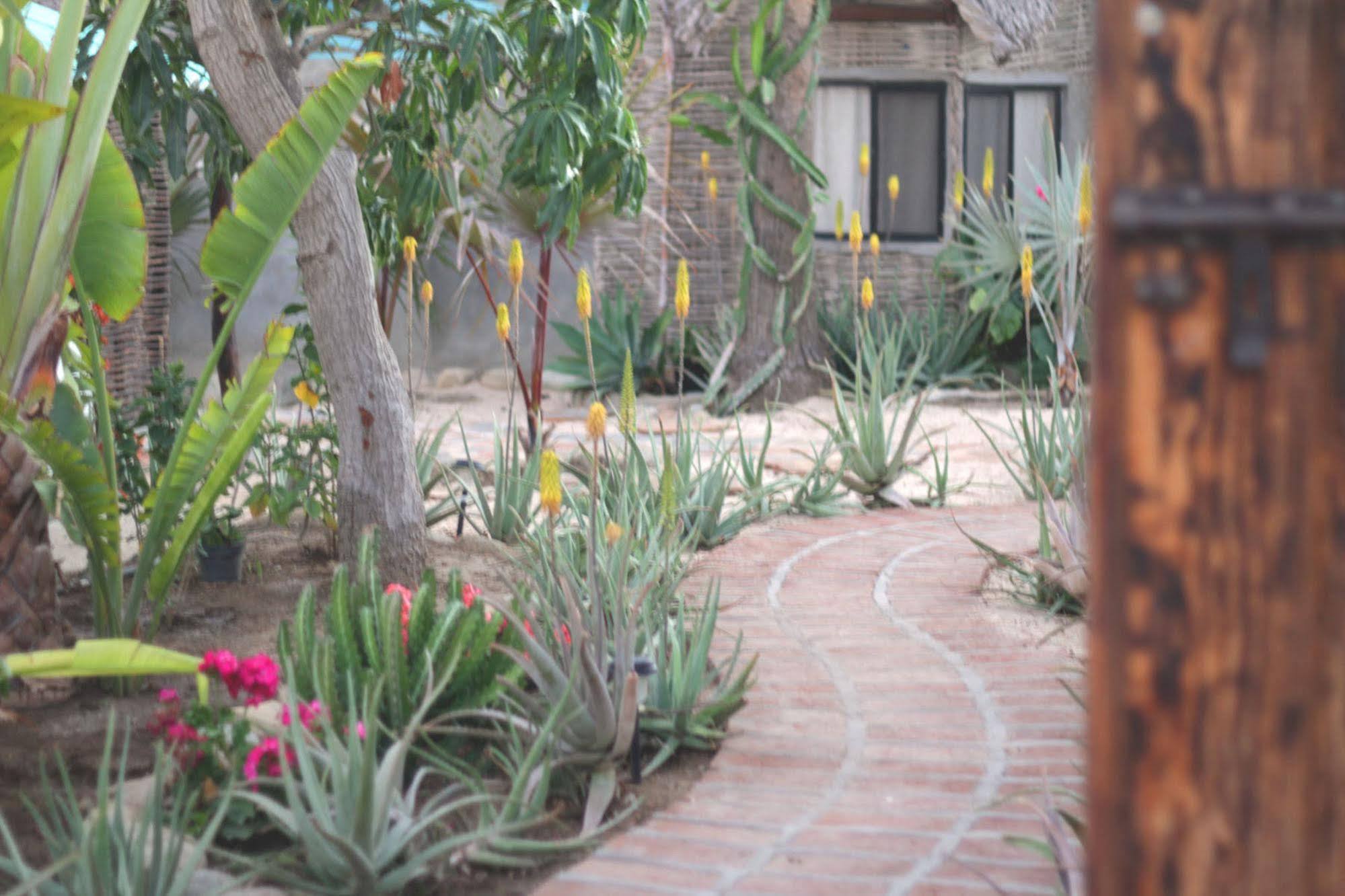 La Bohemia Hotel Todos Santos Eksteriør billede